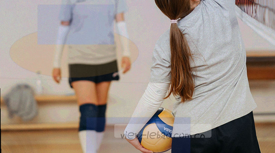 乐宝体育从赛程查询到历史统计的完整流程示意